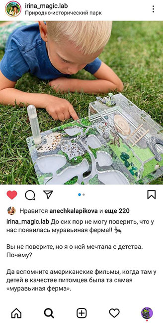 Отзыв о муравьиной ферме