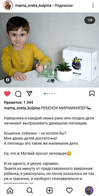 Отзыв о муравьиной ферме